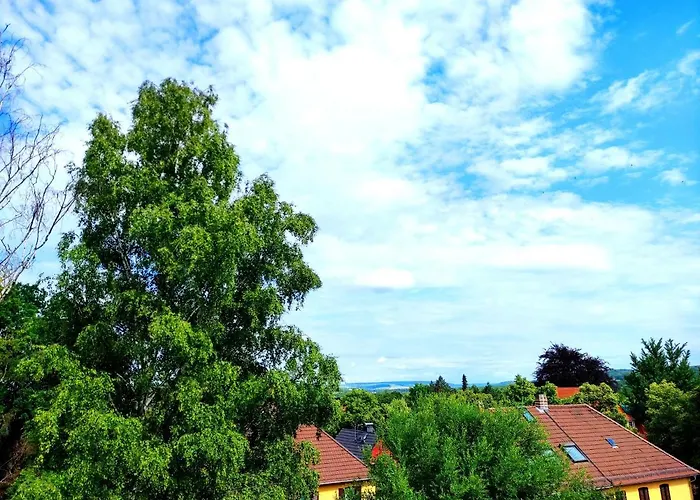 Calma * Weimar (Thuringia)